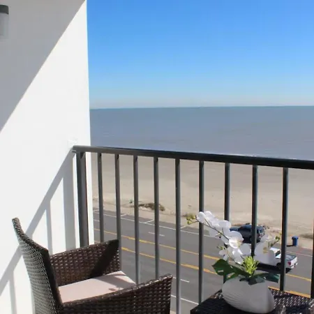 Beautiful Renovated Oceanfront, Galveston Condo- Fits Up To Six People!